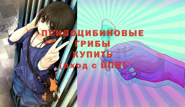 МДПВ Михайловск