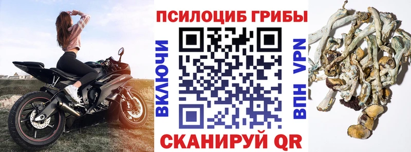 Псилоцибиновые грибы прущие грибы  мега сайт  Нестеровская 